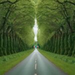 Lidar com a Autocrítica